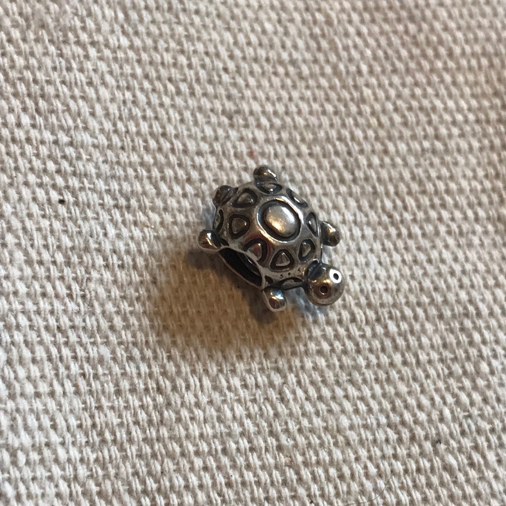 Pandora sterling silver turtle charm